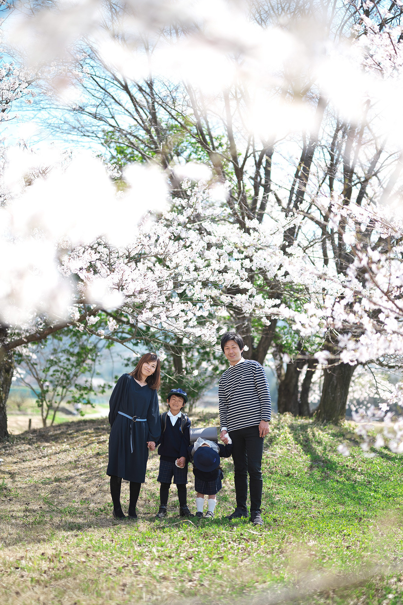 桜満開の写真撮影